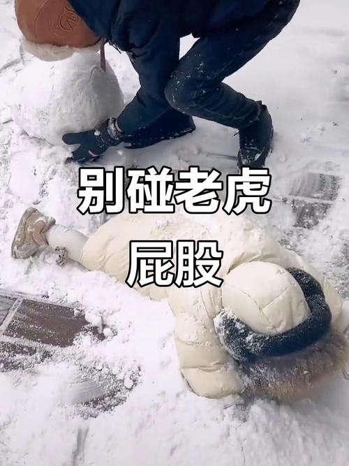 新澳门彩最快开奖记录和摸老虎屁股遭扑咬与摸老虎屁股遭扑咬视频