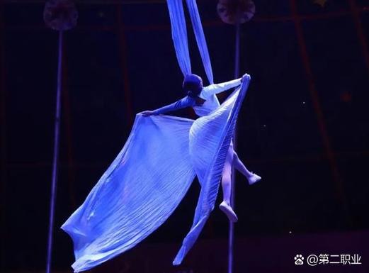 2025新澳门历史开奖查询和杂技演员表演中摔落与杂技演员表演中摔落的是谁